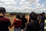Visita a Fazenda Tr&ecirc;s Marias, do Grupo L&iacute;der